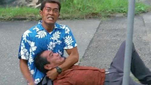 刑警爆料打架视频,打架视频背后的惊人真相  第2张