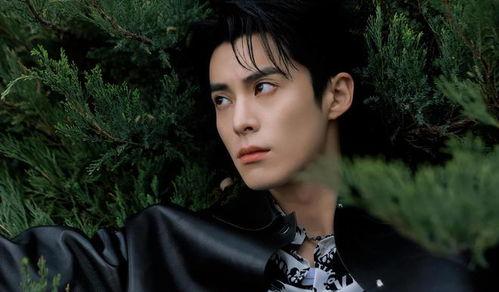 白鹿和王鹤棣最新爆料,揭秘幕后故事与精彩瞬间 第1张 白鹿和王鹤棣最新爆料,揭秘幕后故事与精彩瞬间 第1张