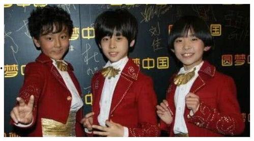 娱乐圈吃瓜爆料四字弟弟,揭秘明星背后的故事  第2张