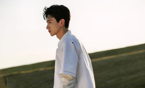 白敬亭白月光娱乐圈吃瓜,白敬亭白月光娱乐圈瓜料大揭秘  第2张